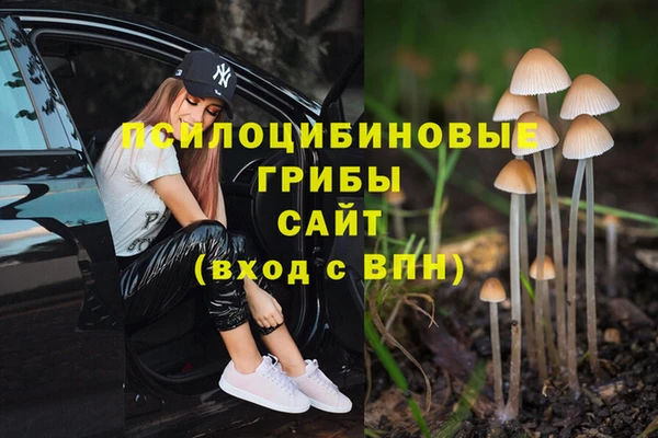стаф Богородск