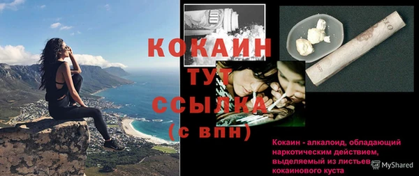 тгк Богородицк