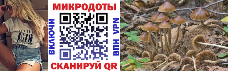 сайты даркнета формула  купить  цена  blacksprut tor  Каспийск  Псилоцибиновые грибы мицелий 